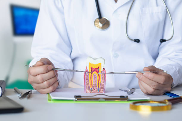Best 24-Hour Emergency Dentist in Clendon, AR